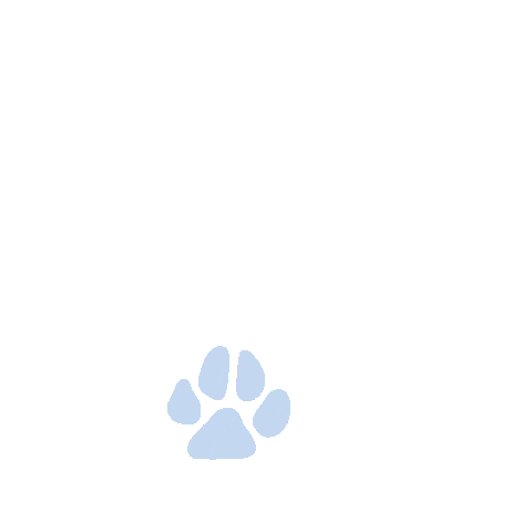 Travel Paws Sticker by Lynx Air