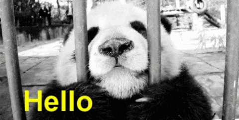 tenor GIF