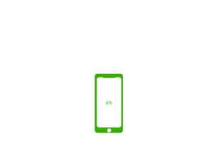 Yacare Sticker