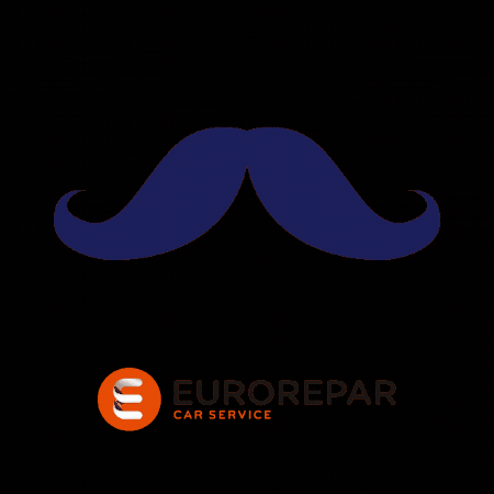EuroreparCarServiceFrance GIF