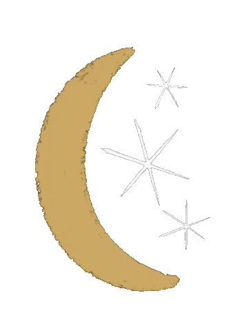 Moon Phase Night Sticker