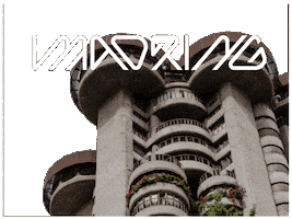 Race F1 Sticker by MADRING