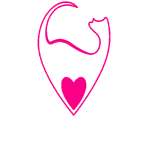 Kittens Australia Sticker