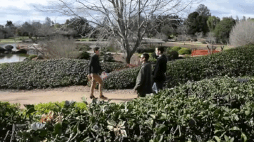 200.gif?cid=fc005b08342a2c31db9d3cded94ce9a06a159ebbf7b7270b&rid=200.gif&ct=g
