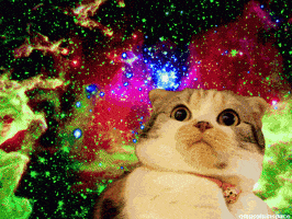 wtf drugs weed lsd high