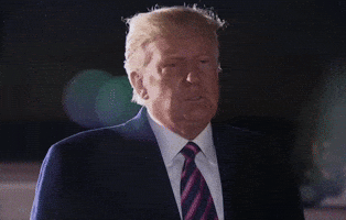 Donald Trump Wow GIF by GIPHY News