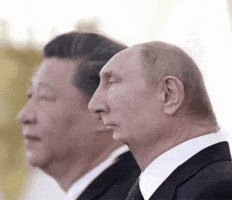 Vladimir Putin Reels GIF