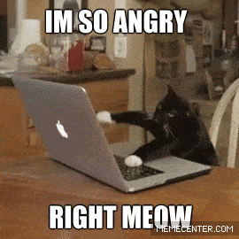 Small Angry Cat Except He's On A Computer : r/MemeTemplatesOfficial