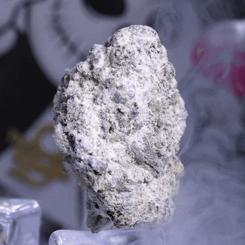 The 8Th Flower GIF by Exclusive Brands