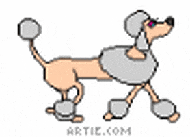 Poodle GIF by Kate