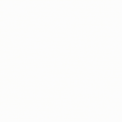 biautogroup GIF