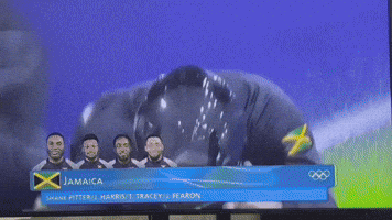 Bob Jamaica GIF