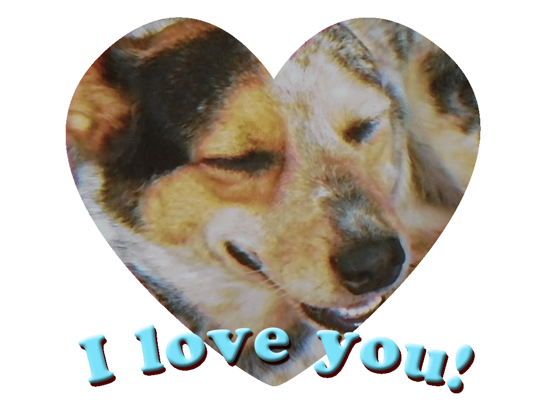 I Love You Dog Sticker By Giphy Studios Originals For Ios Android Giphy