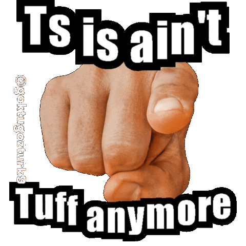 Ts Is Aint Sticker