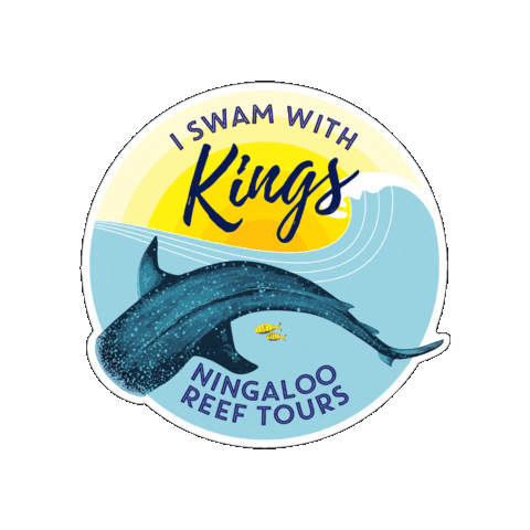 KingsNingalooReefTours Sticker