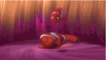 Finding Nemo Morning GIF by Disney Pixar