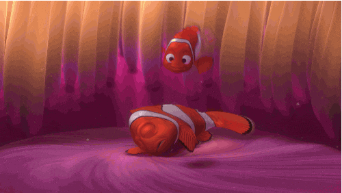 finding nemo morning GIF by Disney Pixar