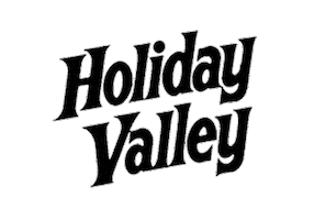 New York Resort Sticker by Holiday Valley