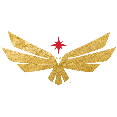 Vegas Knight Hawks Sticker