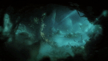 Look Up Ori And The Will Of The Wisps GIF by Xbox