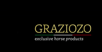 Horse Grazi GIF by Jose Veltman