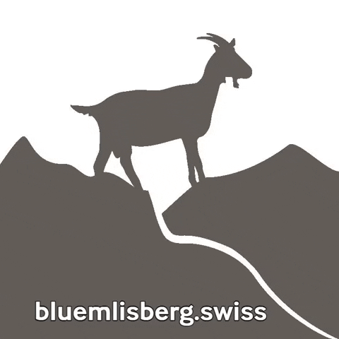 Blüemlisberg AG GIF