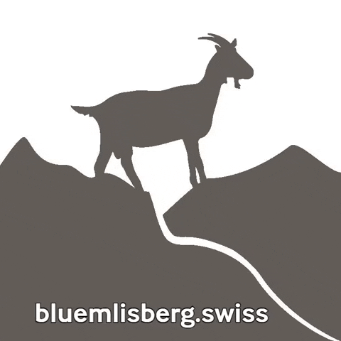 Bluemlisberg wandern berge schokolade milch GIF