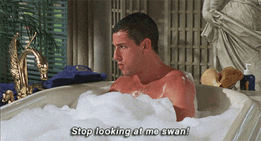 today GIF