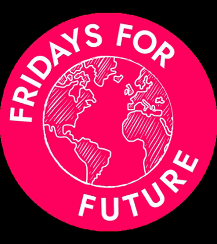 FFFMAPA friday future climate strike GIF