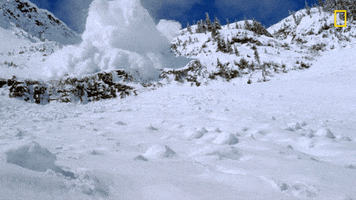 Oh No Snow GIF by National Geographic Channel