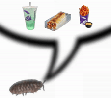 Taco Bell Isopod GIF