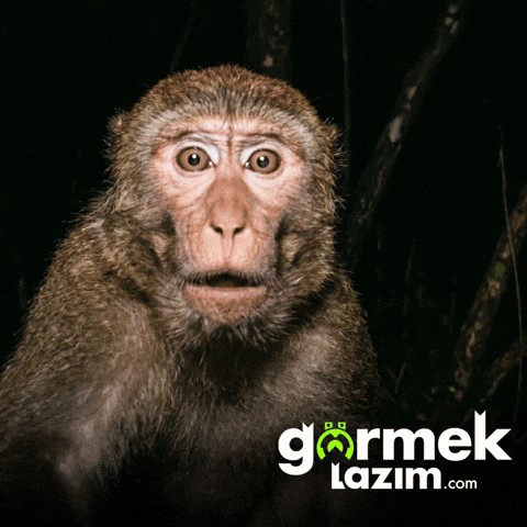 Oh No Omg GIF by Görmek Lazım