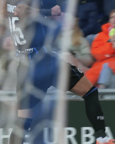 Supporters Blauw-Zwart GIF by Club Brugge