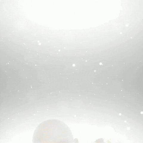 Pace Love GIF