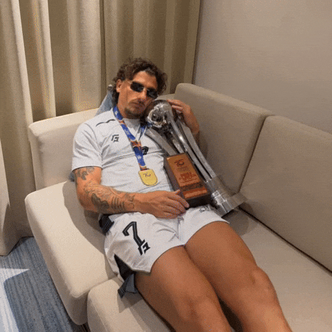 Fifa World Cup Champions GIF