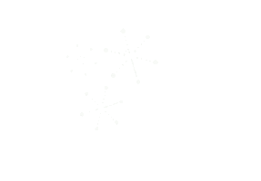Effects Snowflake Sticker by DZ BANK AG