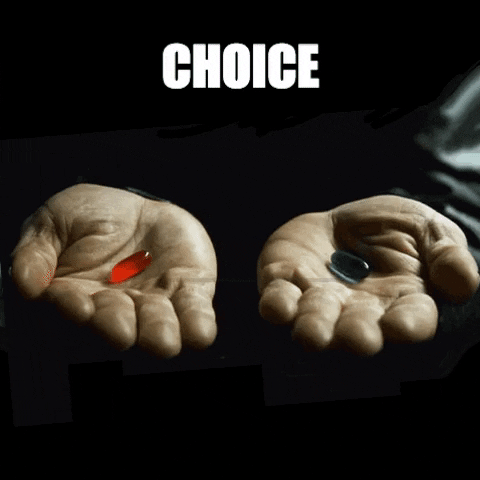 THEOTHERCOLORS matrix illusion choice choix GIF
