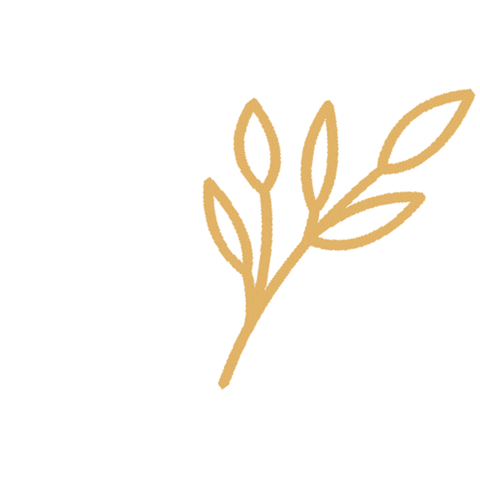 Mediterra Sticker