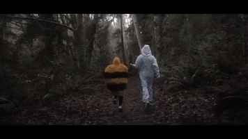 Bee Running GIF by The Head And The Heart