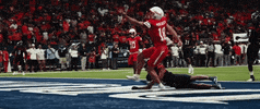 University Of Houston Football GIF by Coog Mania