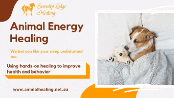 Animal Energy Healing GIF
