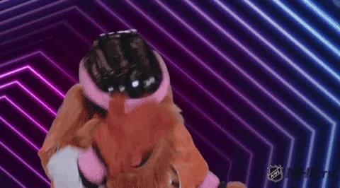 Philly GIF by Philadelphia Flyers