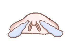 Sad Cry Sticker