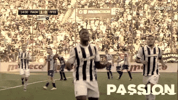 Football Passion GIF by PAOK FC