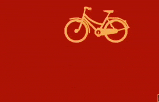 cicli-sergio_bianchi bike bici firenze sergio bianchi GIF