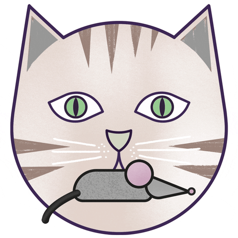 Cat Mouse GIF by brnrd