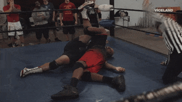 damian abraham win GIF by THE WRESTLERS