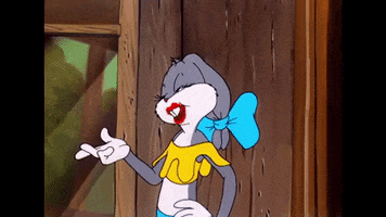 Bugs Bunny Meme GIF by chavesfelipe
