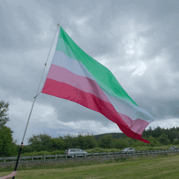 Pride Lgbt GIF by AceArchive