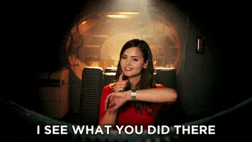 i see what you did there doctor who GIF